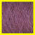 5680 violett SOPO